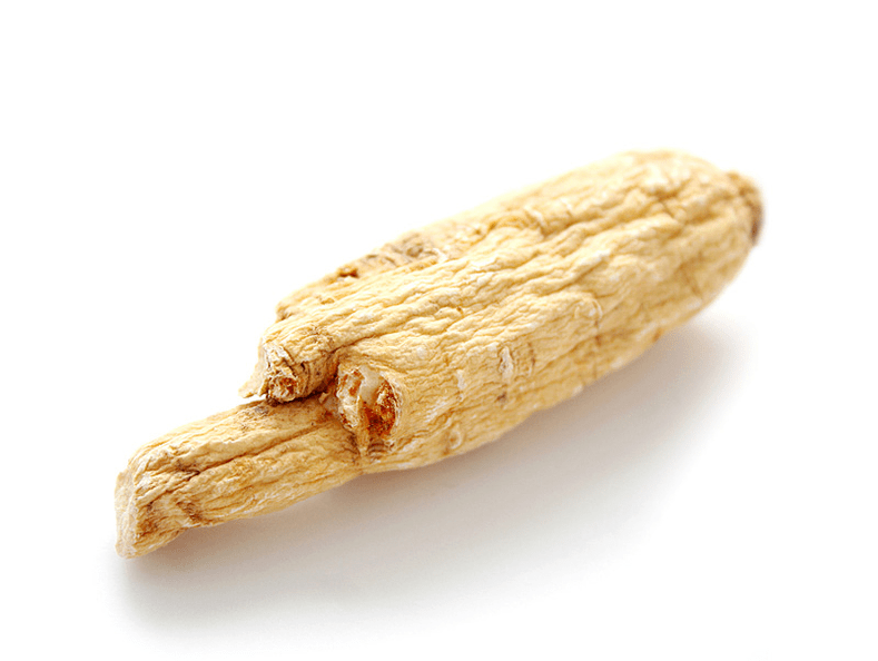 Aralia-Wurzel für Potenz